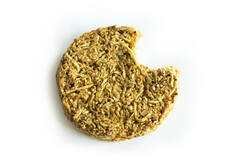 VEGAN SPARC KNOLSELDERIJ EN VENKEL BURGER 36x100gr